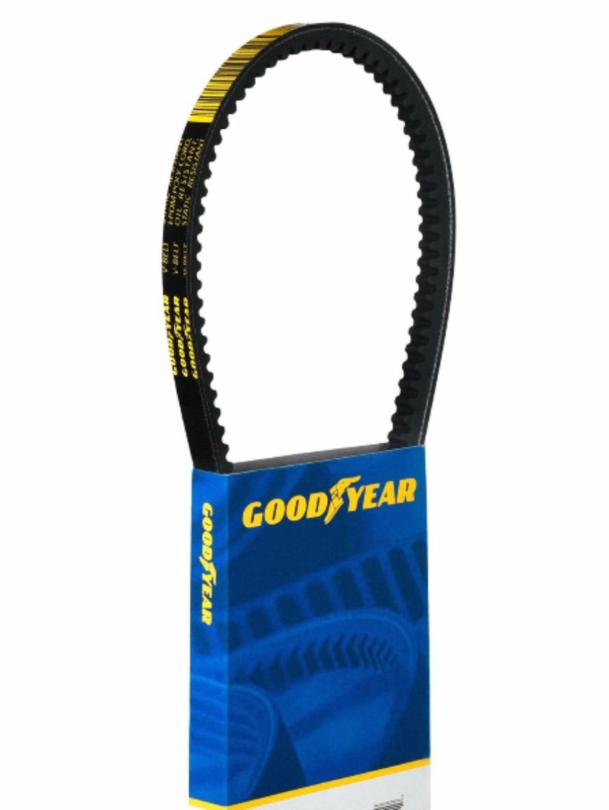 1975-1977 Audi 100 Series V-Belt 15255