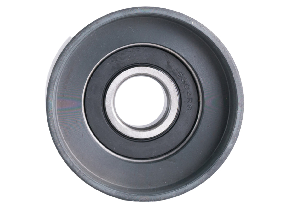 2008-2011 Mack GU7 FEAD Idler Pulley 57808