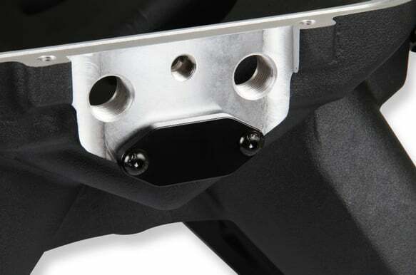 Holley EFI component for Ram black
