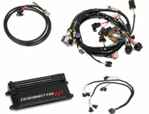 Holley EFI Dominator engine management system harness-550-650