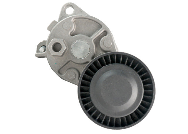 2001-2005 BMW 320i FEAD Tensioner 55114