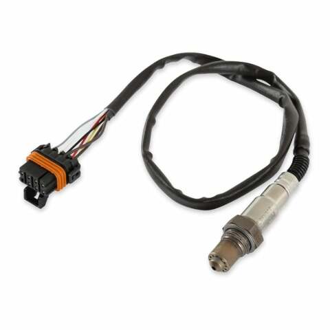Holley EFI wideband oxygen sensor sensors-554-101