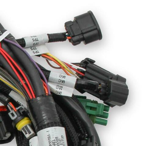 Holley EFI wiring harness coil-11-17-558-110