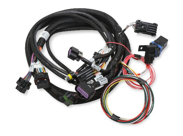 Holley EFI wiring harness harness-558-121