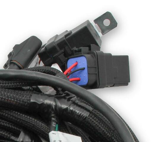 Holley EFI wiring harness coils-558-122