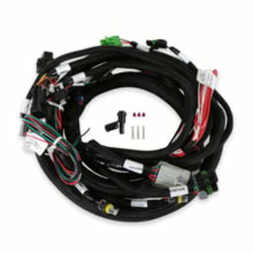 Holley EFI wiring harness harness-558-128