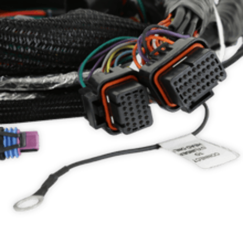 Holley EFI wiring harness harness-558-129