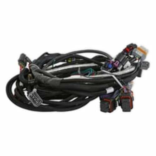 Holley EFI wiring harness harness-558-130