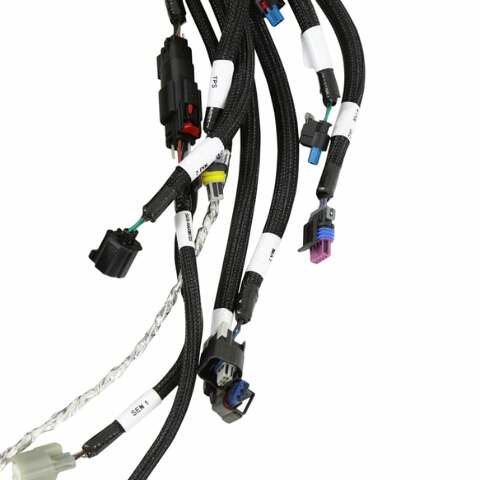 Holley EFI wiring harness coils-558-140