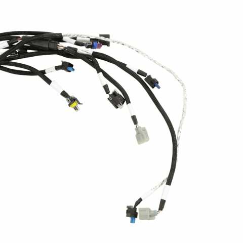 Holley EFI wiring harness coils-558-141