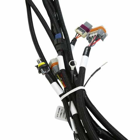 Holley EFI wiring harness coils-558-141