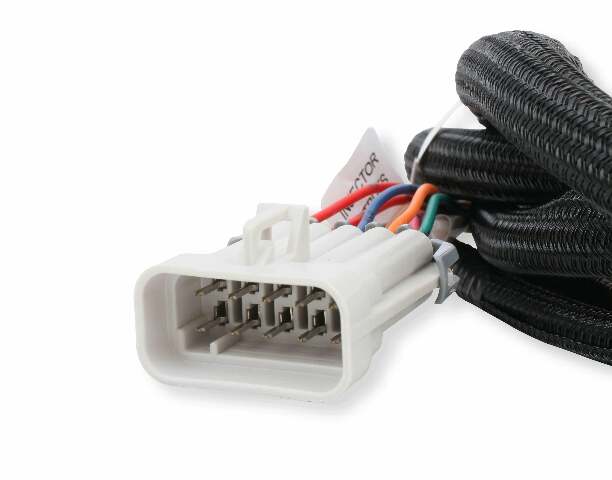 Holley EFI wiring harness harness-558-219