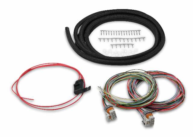 Holley EFI wiring harness harness-558-307