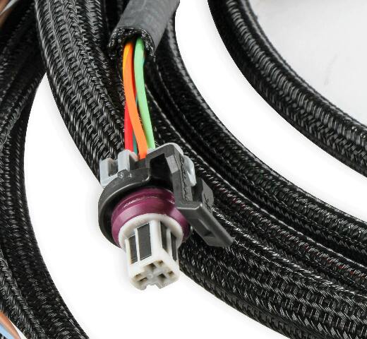 Holley EFI wiring harness harness-558-471