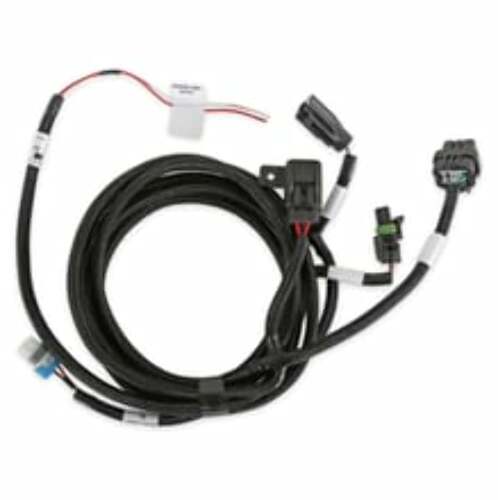 Holley EFI wiring harness t-56-magnum-558-480