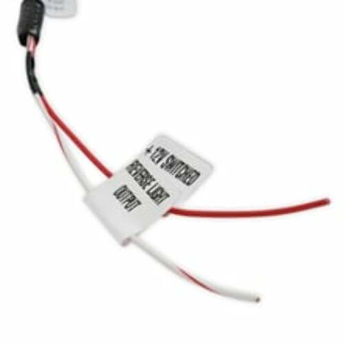 Holley EFI wiring harness t-56-558-481