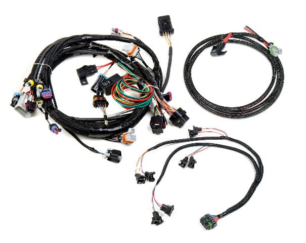 Holley EFI wiring harness ls-24x-efi-harness-kit-558-500