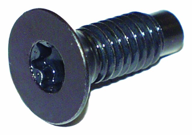 Vintage - Metal Unpainted Windshield Hinge Screw - 6035757