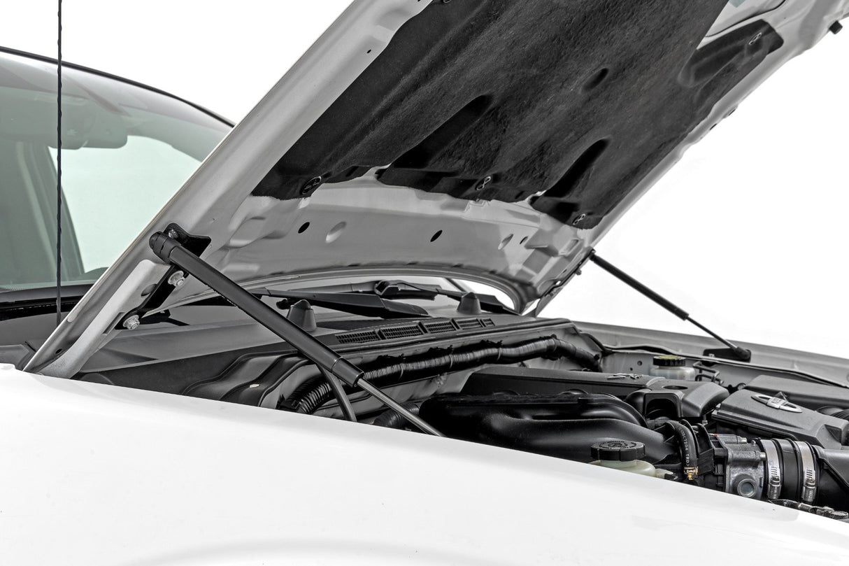 Struts for 2005-2021 Nissan Frontier by Rough Country