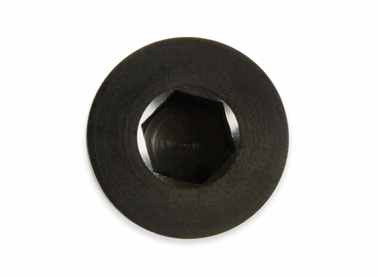 Earls AN Port Plug - Allen Head - AT981310ERL