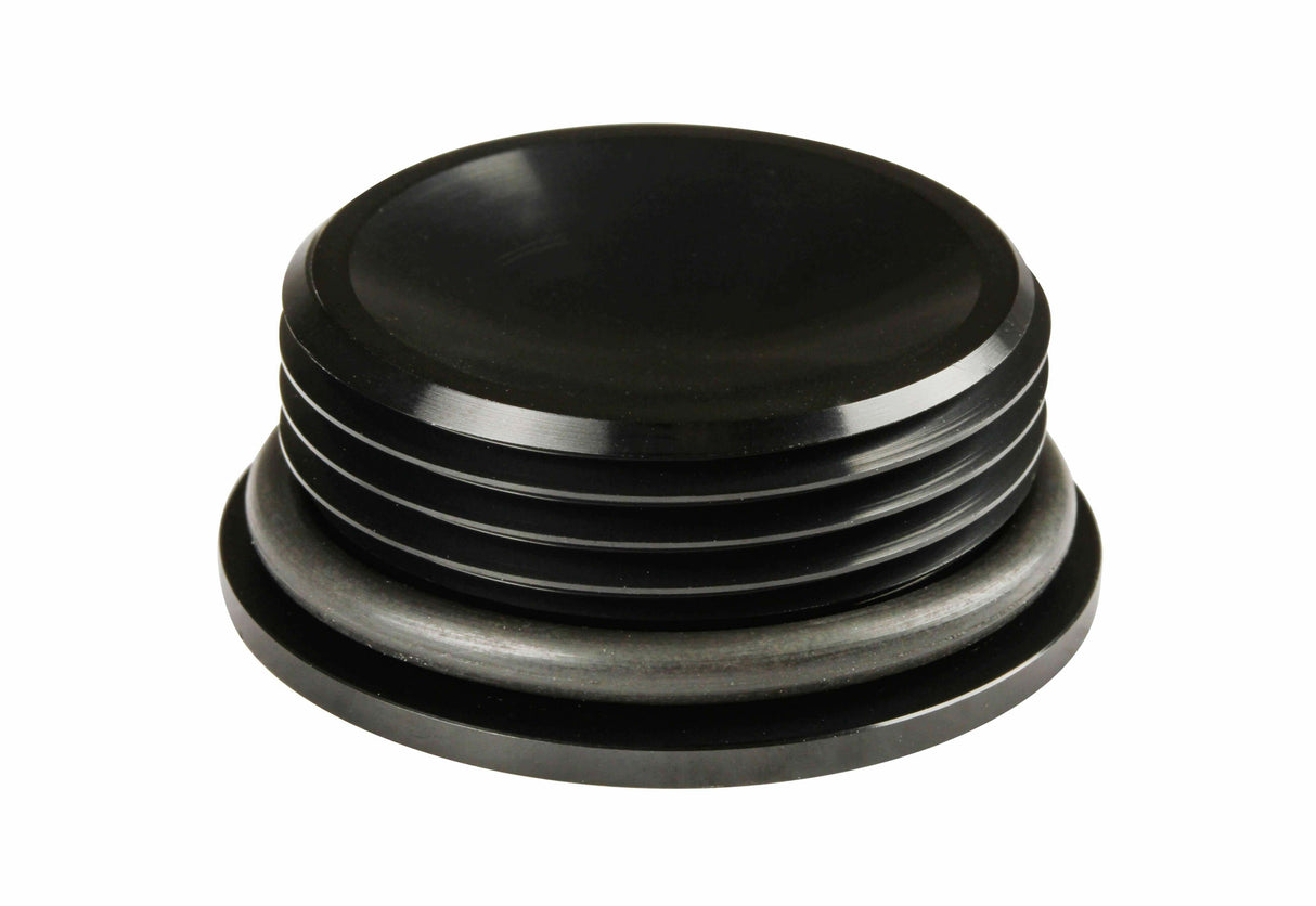 Earls AN Port Plug - Allen Head - AT981316ERL
