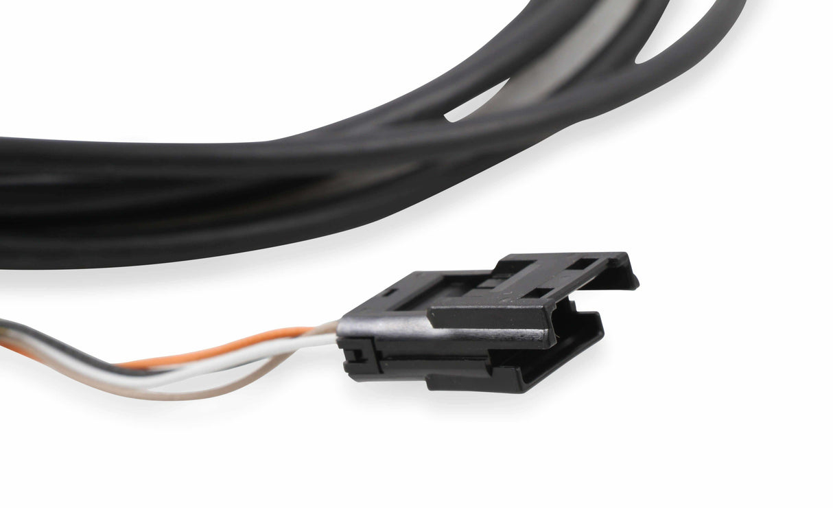 Holley EFI wiring harness
