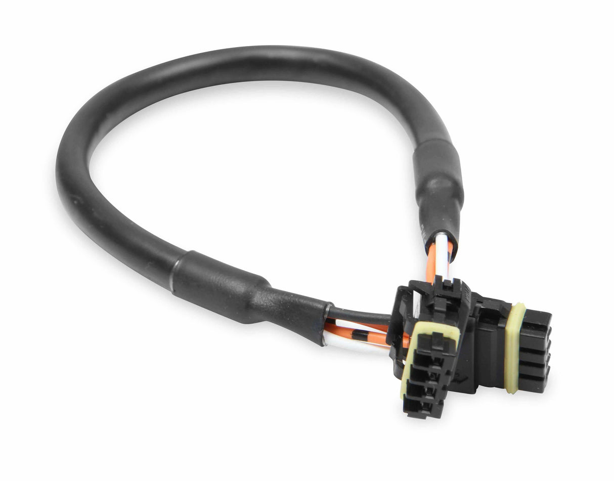 Holley EFI wiring harness