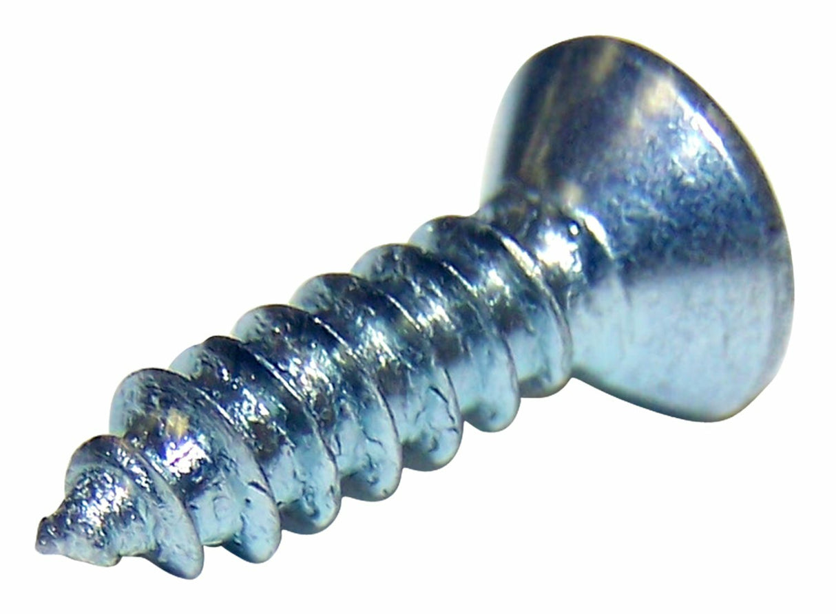 Jeep Steel Silver Screw J4200323
