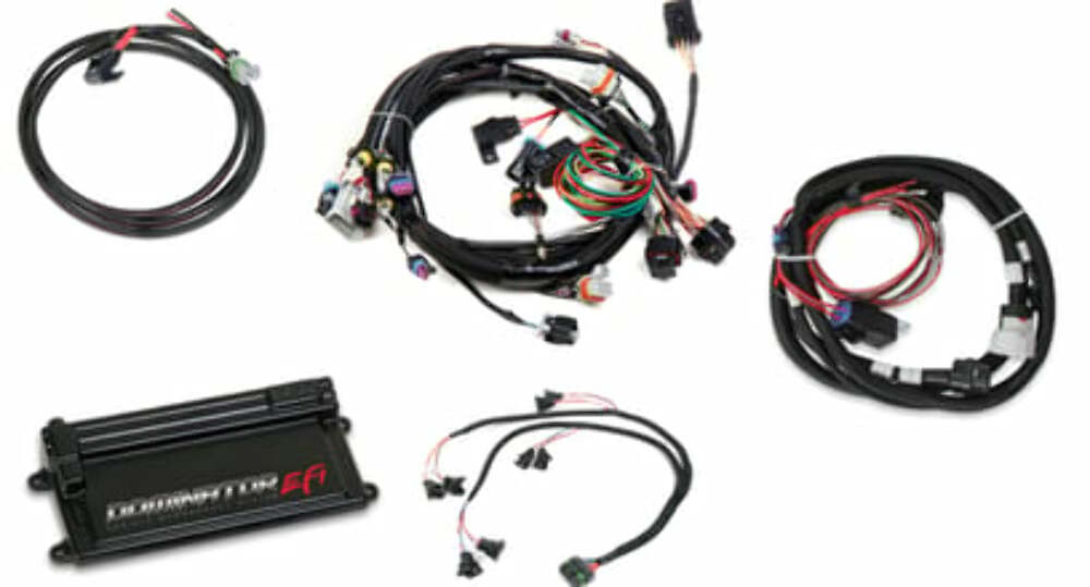 Holley EFI Dominator EFI-LS1 Main Harness w/ Trans Control w/EV1 Injector Harness 550-656 for Ford 12.3 inch