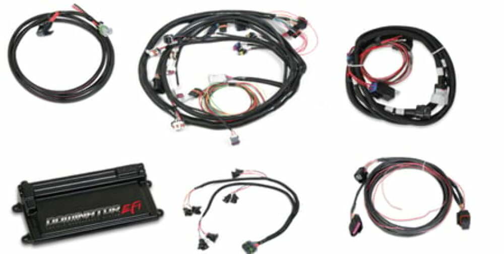 t Dominator EFI-LS2 Main Harness w/ Trans and DBW w/EV1 Injector Harness 550-660 Holley EFI