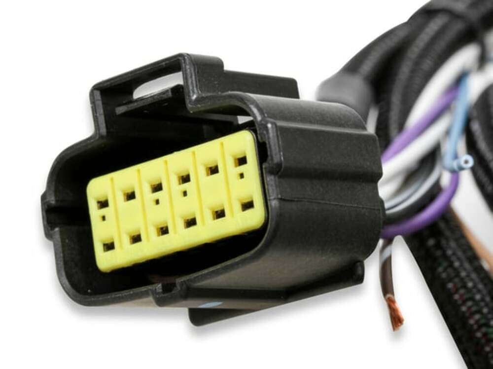 Holley EFI wiring harness harness-558-470