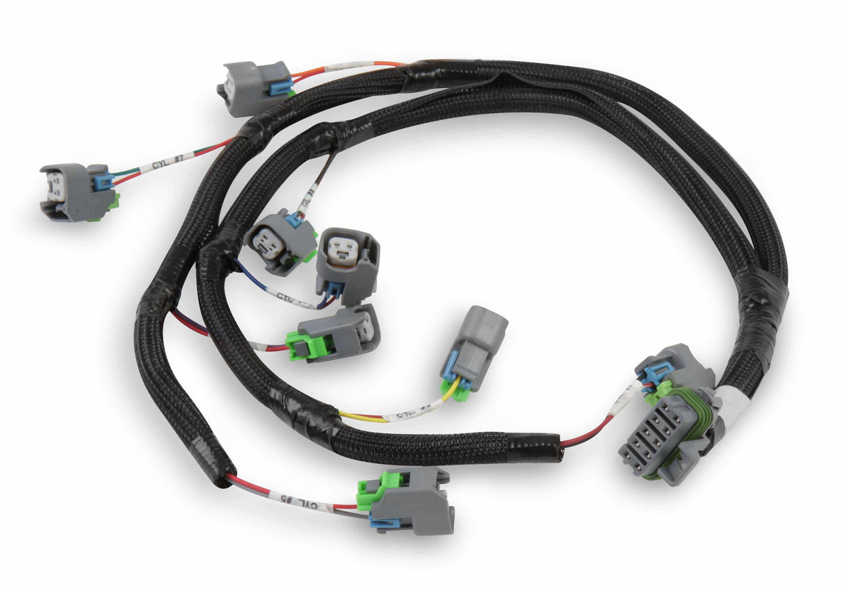 Holley EFI wiring harness harness-558-212