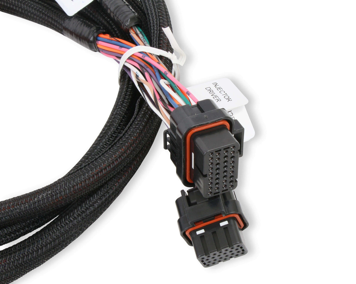 Holley EFI wiring harness harness-558-219