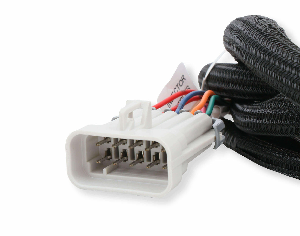 Holley EFI wiring harness harness-558-219