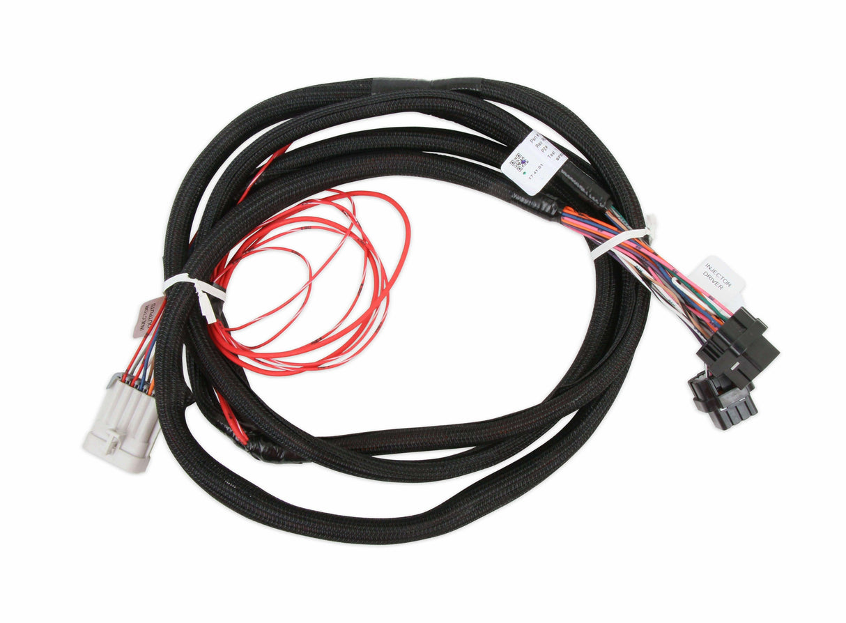 Holley EFI wiring harness harness-558-219