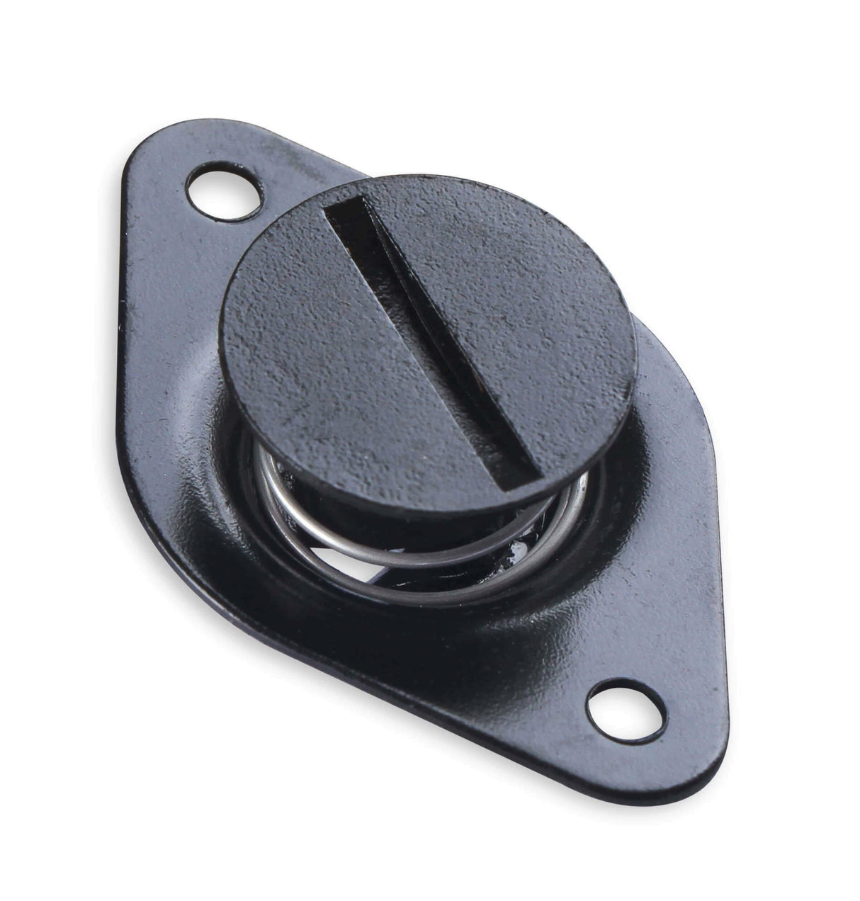 Earl's Quarter Turn Fasteners - PANE6500BK-ERL