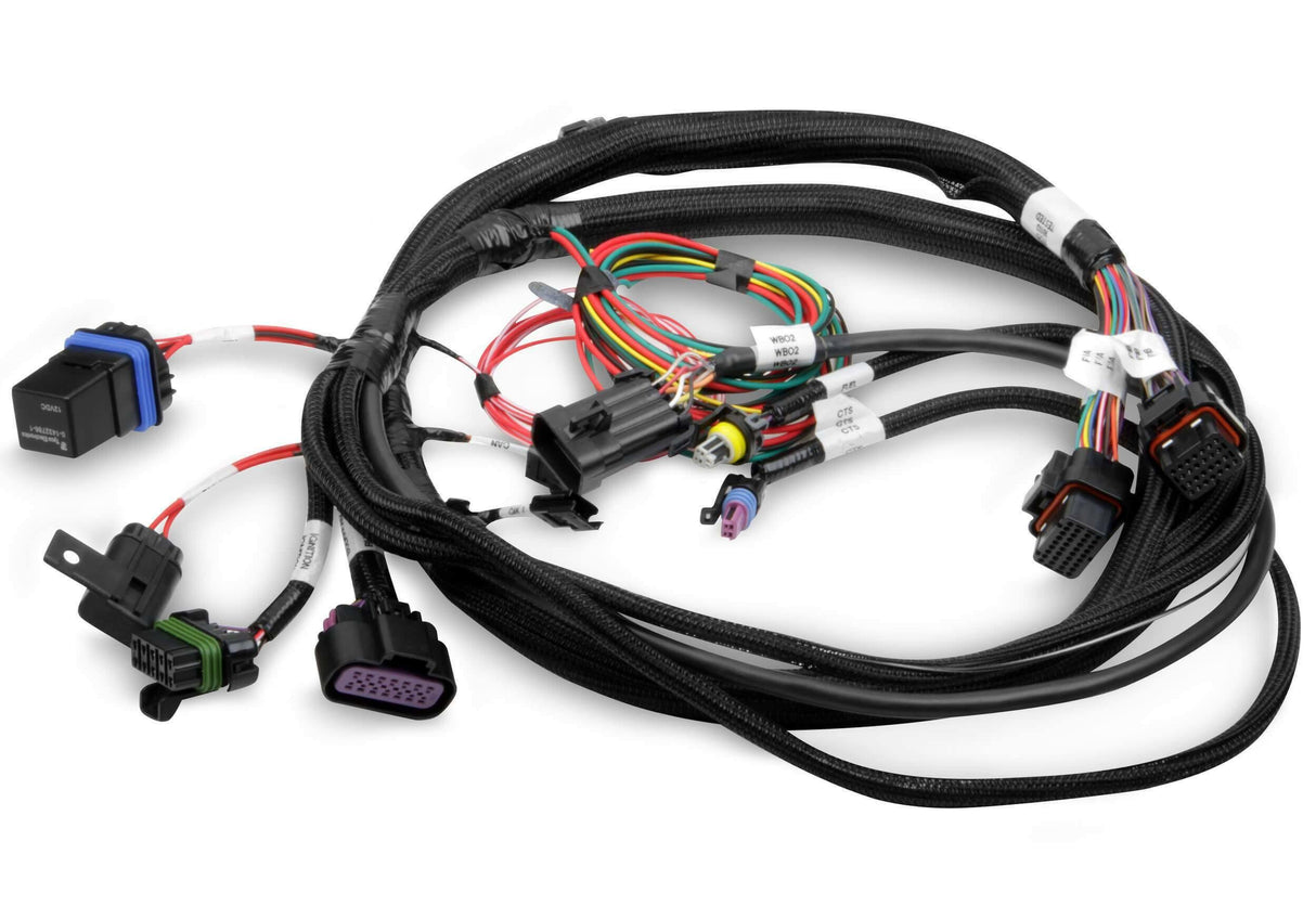 Holley EFI wiring harness harness-558-414
