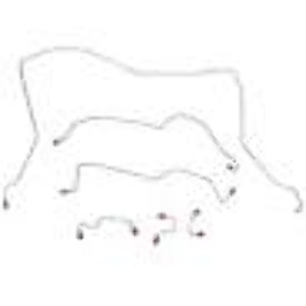 t 02-03 Durango RT, 4wd, Disc Brakes; Complete Brake Line Kit; S/S; CBK0096SS Fine Lines