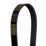 Goodyear V-belt 35 Rib 1070542