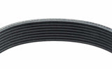 Goodyear V-belt 49 Rib 1080352