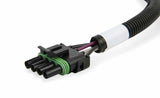 Holley EFI component