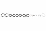 NOS nitrous refill pump station rebuild kit 14270NOS