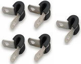 Hose Clamp - 171016ERL AN fitting