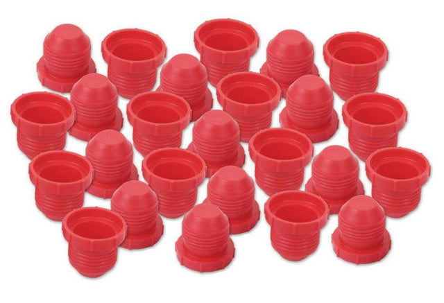 4 Plastic Plug - 25 Pieces - 179204ERL AN fitting