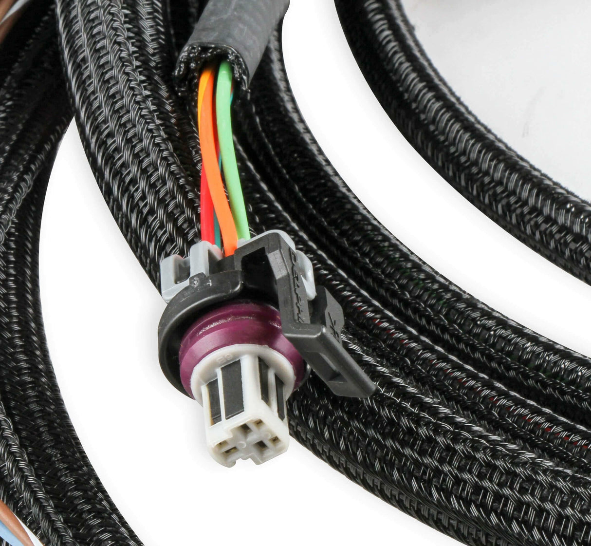 Holley EFI wiring harness harness-558-471