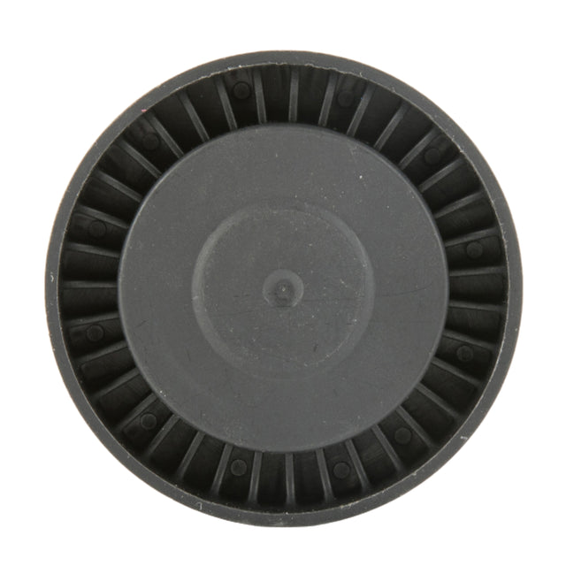 2004-2005 BMW 545i FEAD Idler Pulley 57448