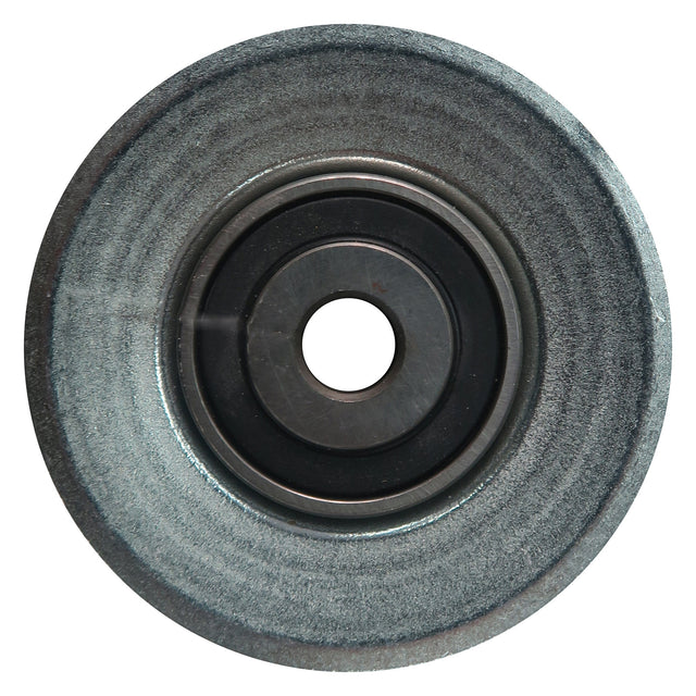 2007-2008 Hyundai Entourage FEAD Idler Pulley 57438