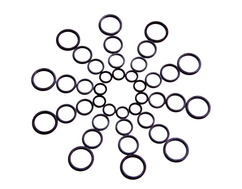 O-Ring Assortment Performance Fuel System Universal Fit Aeromotive 15622-BGPL
