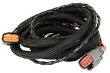 MSD ignition wiring harness for 1995-1997 Ford 2775