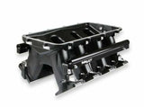Holley EFI component for Ram black